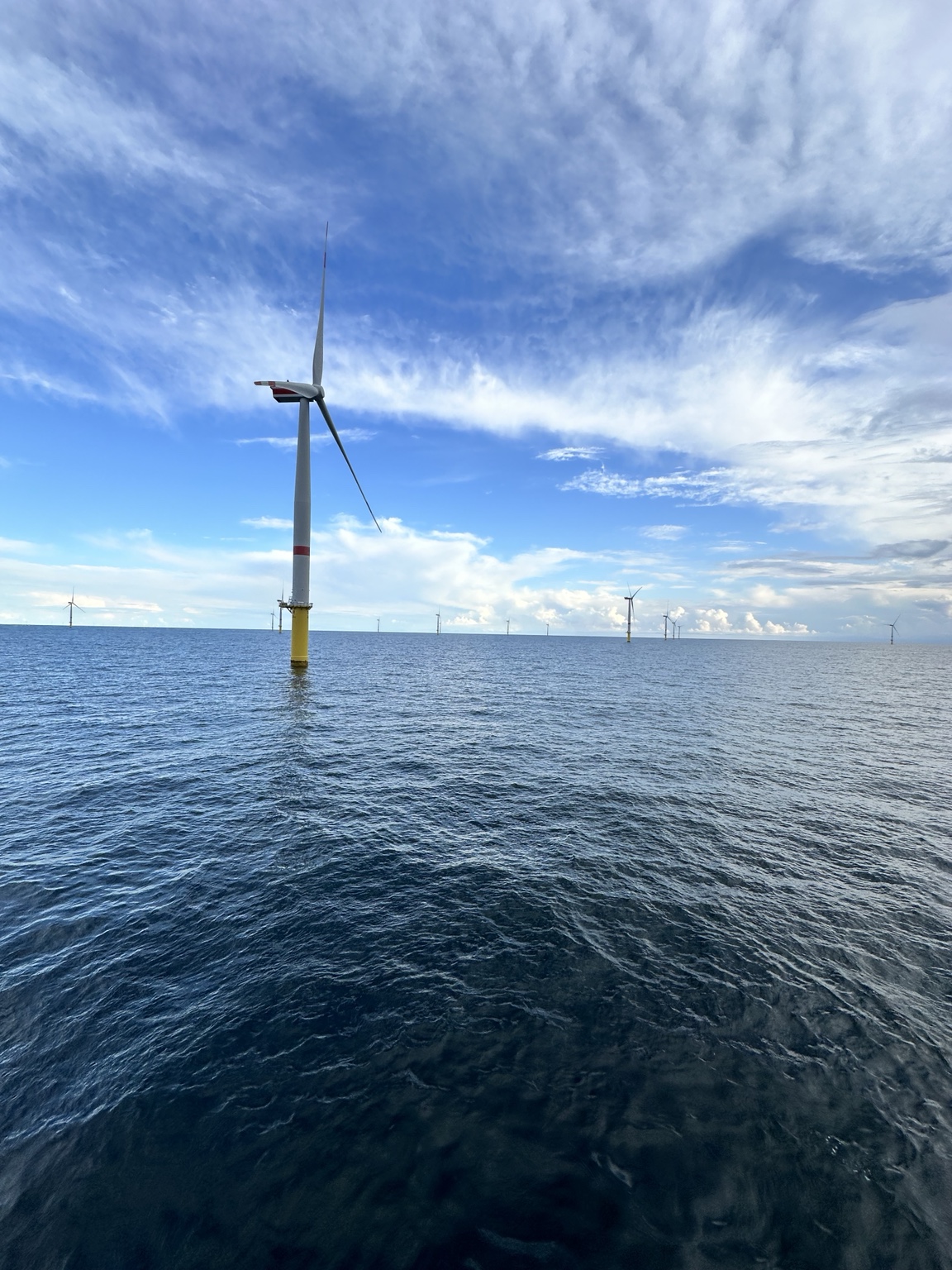 Offshore wind farm